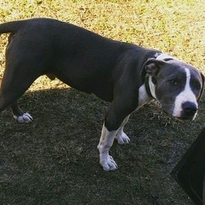 Meet your Posher, Jeremiah